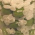 夏に備えて