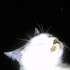 ピンク色の夜空