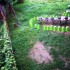夏を惜しんで。