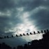 雨の中。