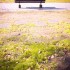 探す、探す。