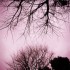 John Stoddart『Faith Hope Love』