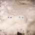 雪ふたご。
