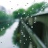 雨の朝は。